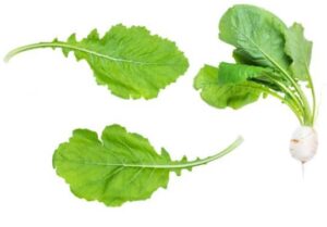 Turnip greens benefits