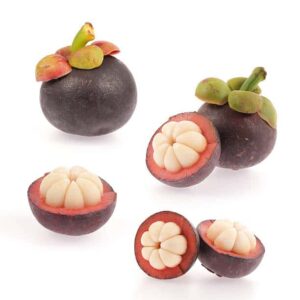 Mangosteen benefits