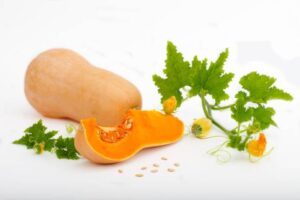 Butternut Squash Benefits