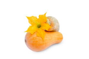 Butternut Squash Benefits