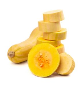 Butternut Squash Benefits