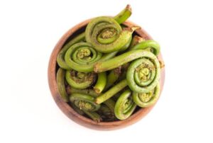 Fiddleheads