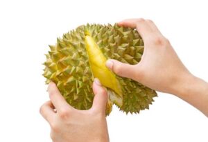 durian benefits