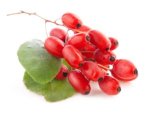 goji berries