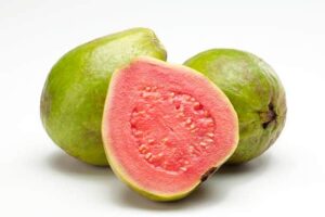 guava 