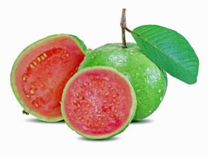 guava 