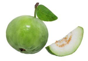 guava 