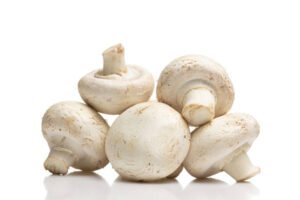 Agaricus mushrooms