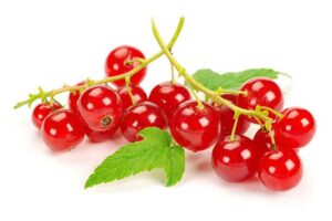 Red Currants