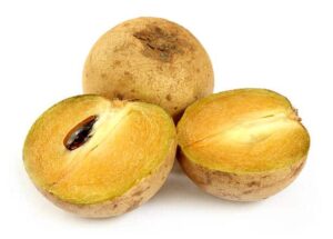 Sapodilla benefits