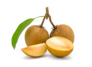 Sapodilla