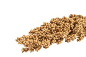 Sorghum benefits