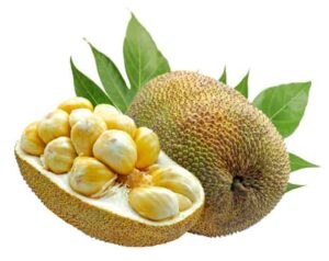 jackfruit
