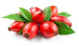 Rose Hips
