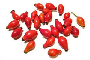 Rose Hips