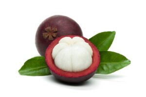 Mangosteen