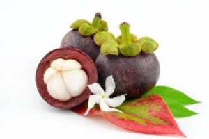 Mangosteen