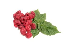 wineberries