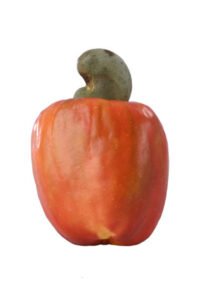 Cashew apples