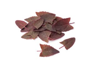 Garden orach benefits
