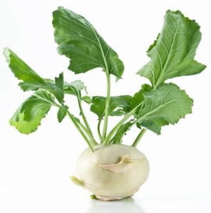 Kohlrabi