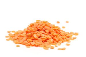 Lentil