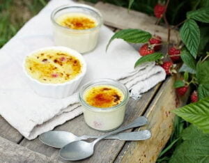 Raspberry burnt cream