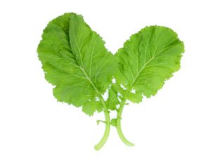 Mustard greens benefits