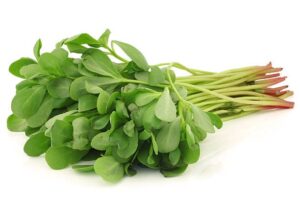 Purslane benefits