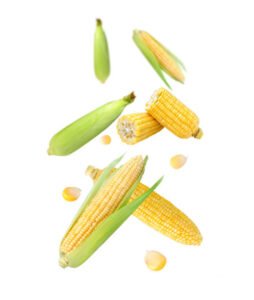 Sweet corn benefits