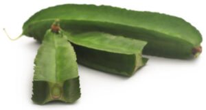 winged beans benefits