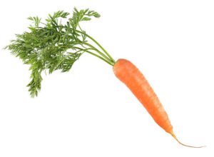 Carrots
