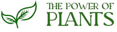 The Power Of Plants