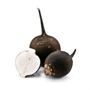 Black radish