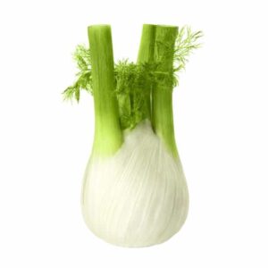 Fennel