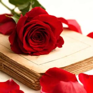 plants for better sleep