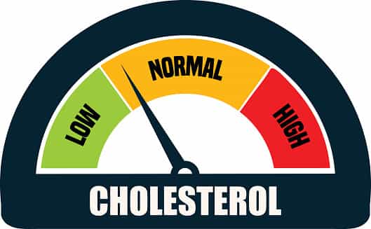 low Cholesterol