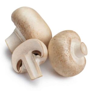 plants for meat protein replacement plants for meat protein replacement