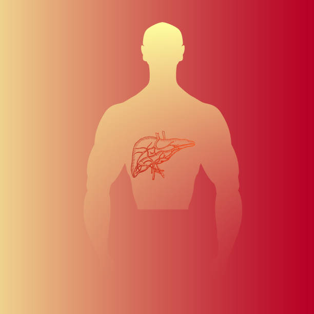 Detoxifying Plants-min