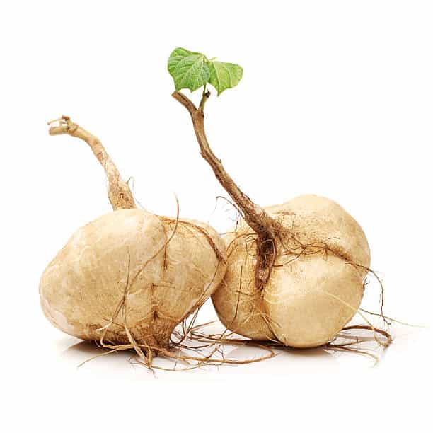 Jicama-min