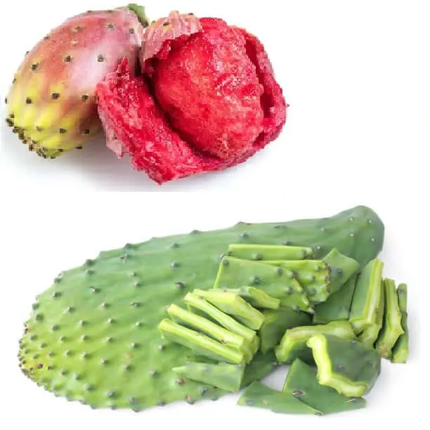 Nopal-min