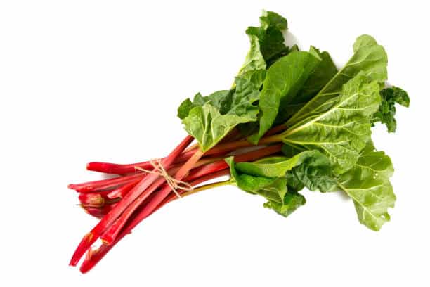 Rhubarb-min
