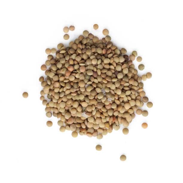 Lentils-min
