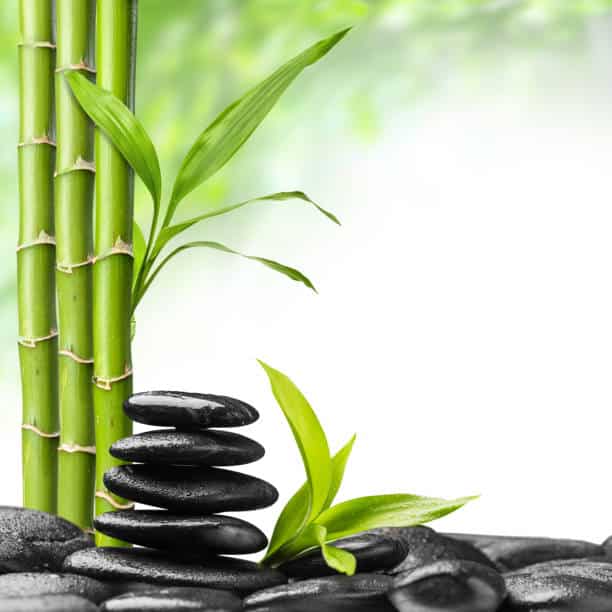 Feng Shui Plants-min