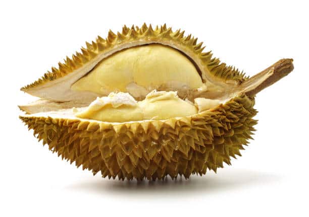 durian1-min