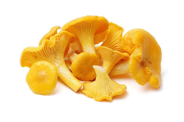 Chanterelle Mushrooms