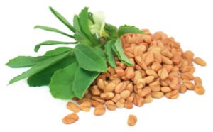 fenugreek