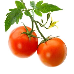 Tomato