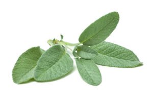 sage benefits