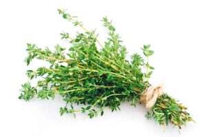 thyme